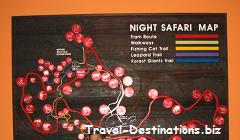 Night Safari Singapore